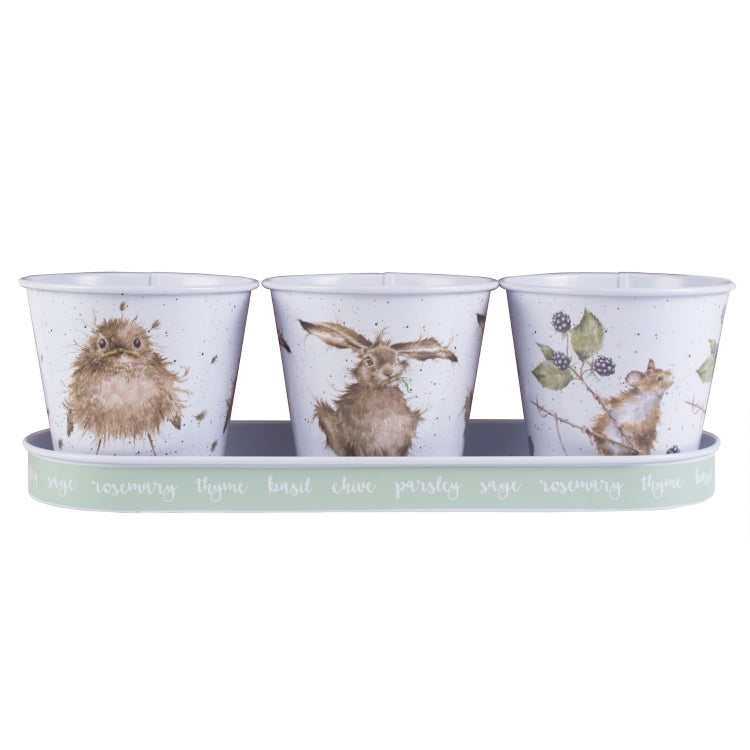 Wrendale Designs Herb Pots and Tray