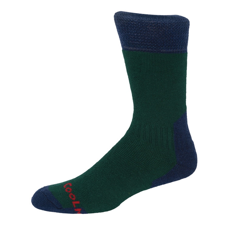Hoggs of Fife Coolmax Socks - Green/Navy