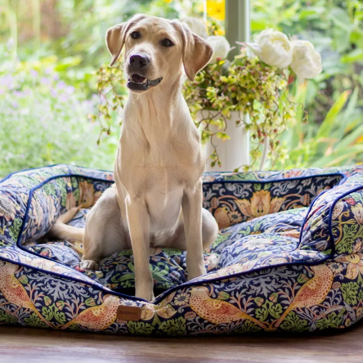 Morris and Co Pet Sofa - Strawberry Thief