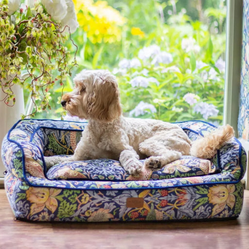 Morris and Co Pet Sofa - Strawberry Thief