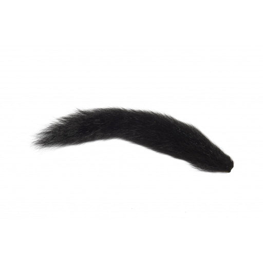Fox Squirrel Tails
