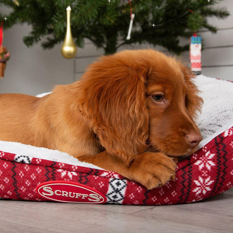 Scruffs Santa Paws Dog Box Bed - Burgundy