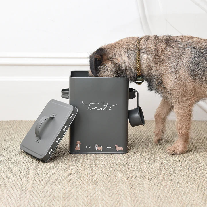 Sophie Allport Walkies Pet Tin - Small