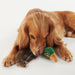 Barbour Pheasant Dog Toy