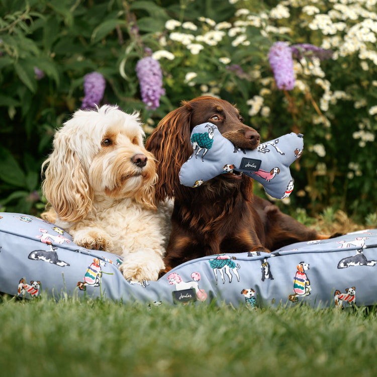 Joules Rainbow Dogs Comfort Bone Dog Toy