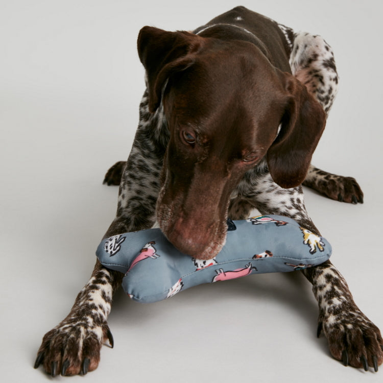 Joules Rainbow Dogs Comfort Bone Dog Toy