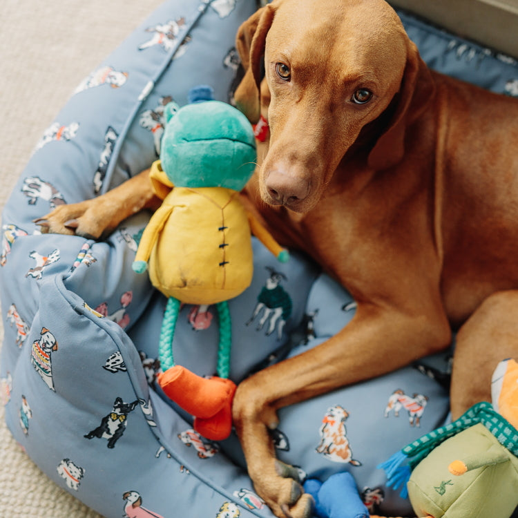 Joules Frog Dog Toy John Norris