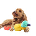 Joules Frog Dog Toy