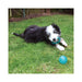 Rosewood Biosafe Puppy Ball 2.5in - Blue