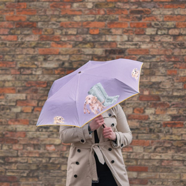 Wrendale Designs Umbrella - Hopeful