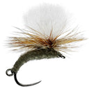 Adams Klink and Dink