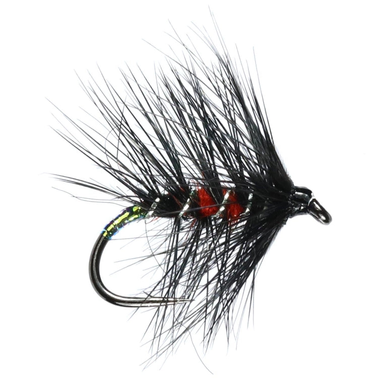 Bibio Hackled Wet Flies