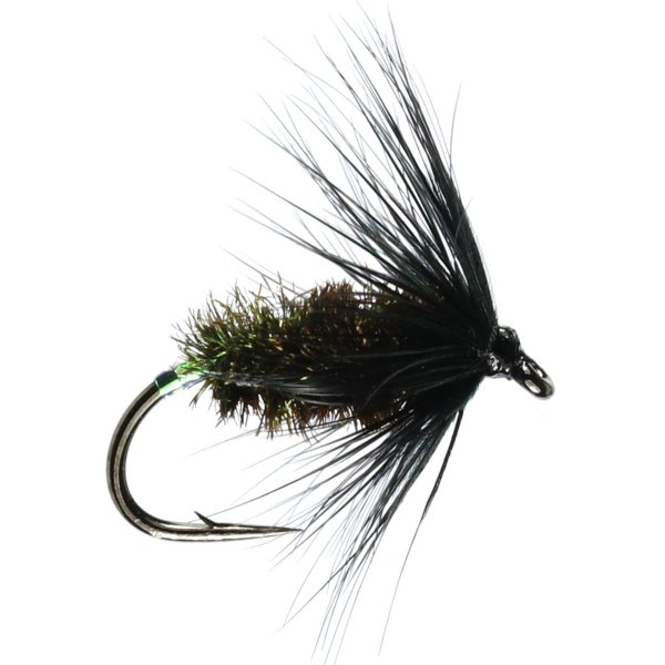 Black and Peacock Wet