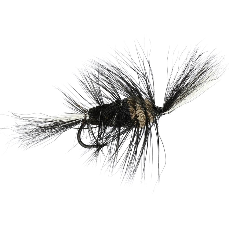 Black Bomber Flies