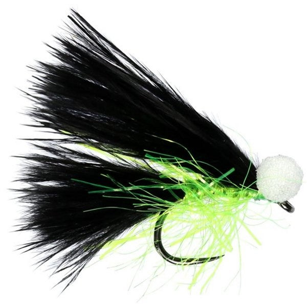Black Cats Whisker Booby