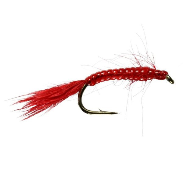 Bloodworm Nymph