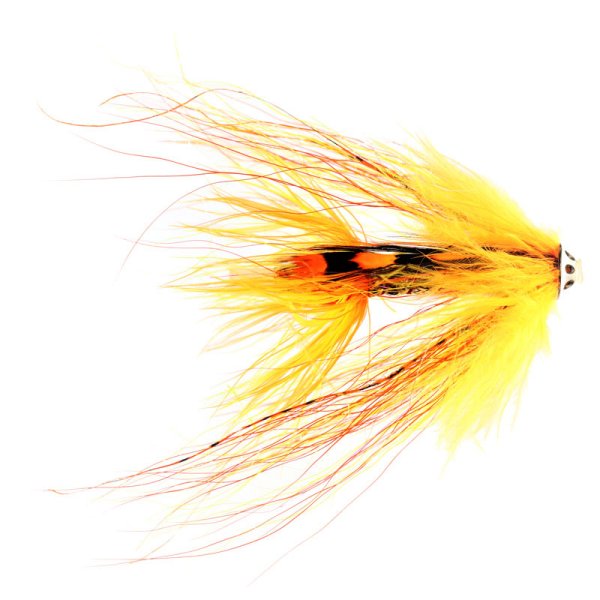 Cascade Intruder JC