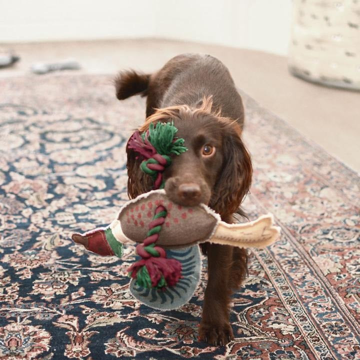 Sophie Allport Pheasant Rope Dog Toy