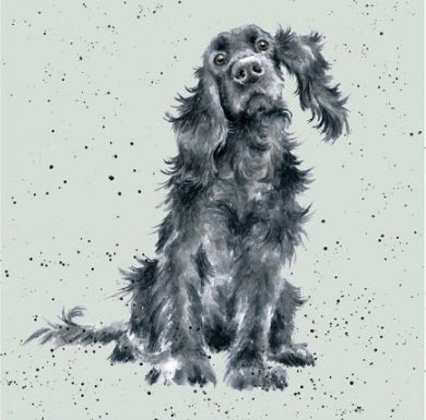 Wrendale Designs Black Cocker Spaniel Card