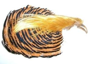 Golden Pheasant Complete Head Crest and Collar