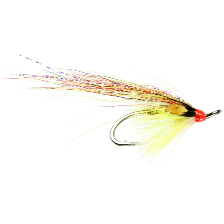 Junction Gunn Flies