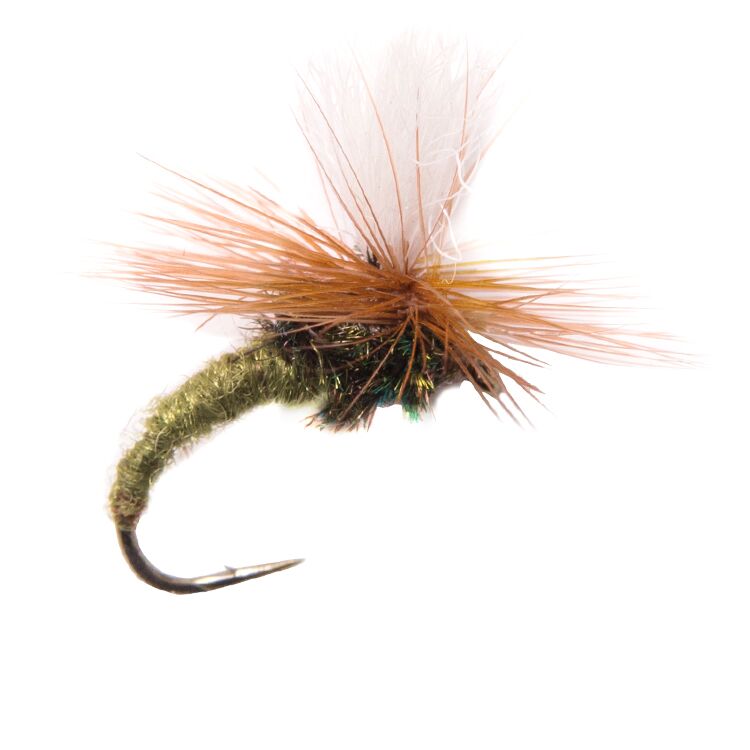 Olive Klinkhammer