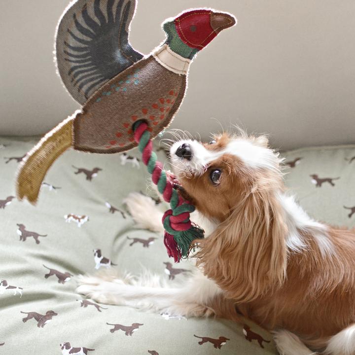 Sophie Allport Pheasant Rope Dog Toy