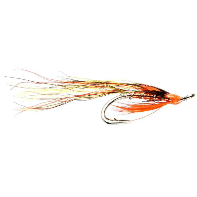 Slum Dog Flies 